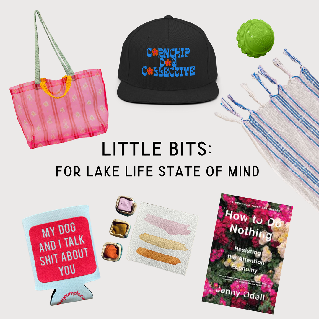 LITTLE BITS: For Lake Life State of Mind