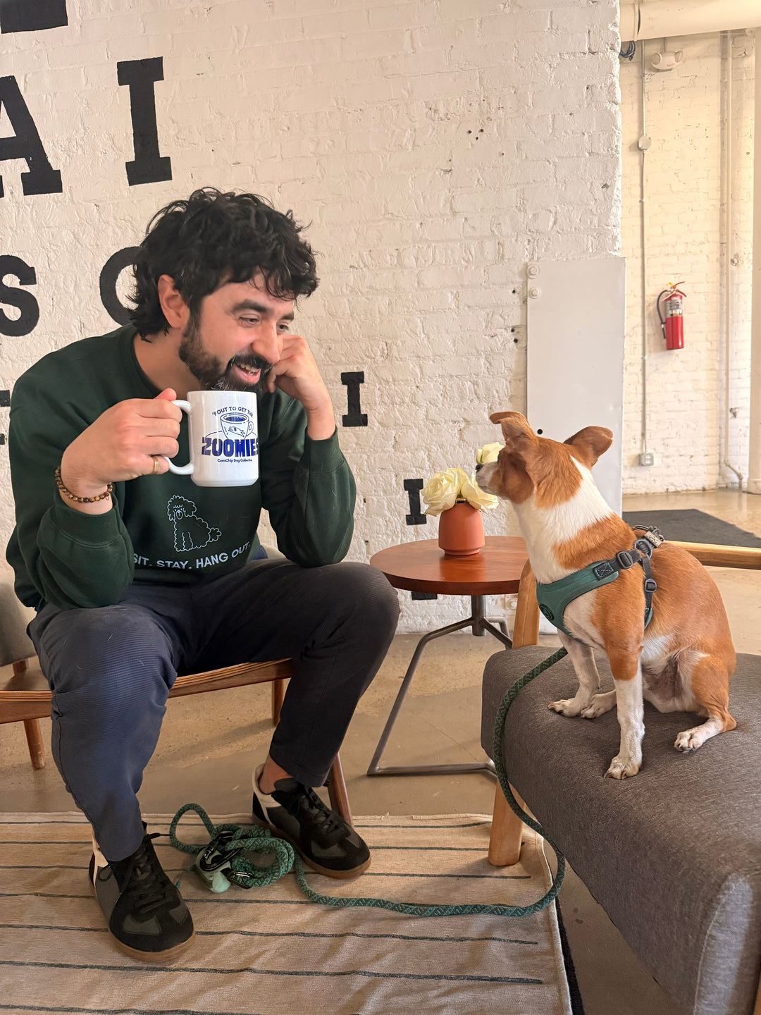 The Unemployment Of Our Dogs