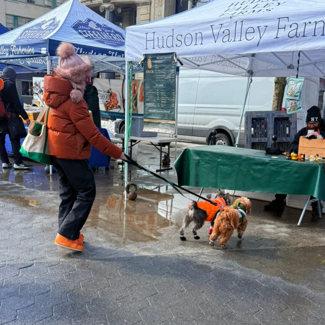 The Benefits of Small Talk: How Dogs Can Be a Catalyst for Community Building