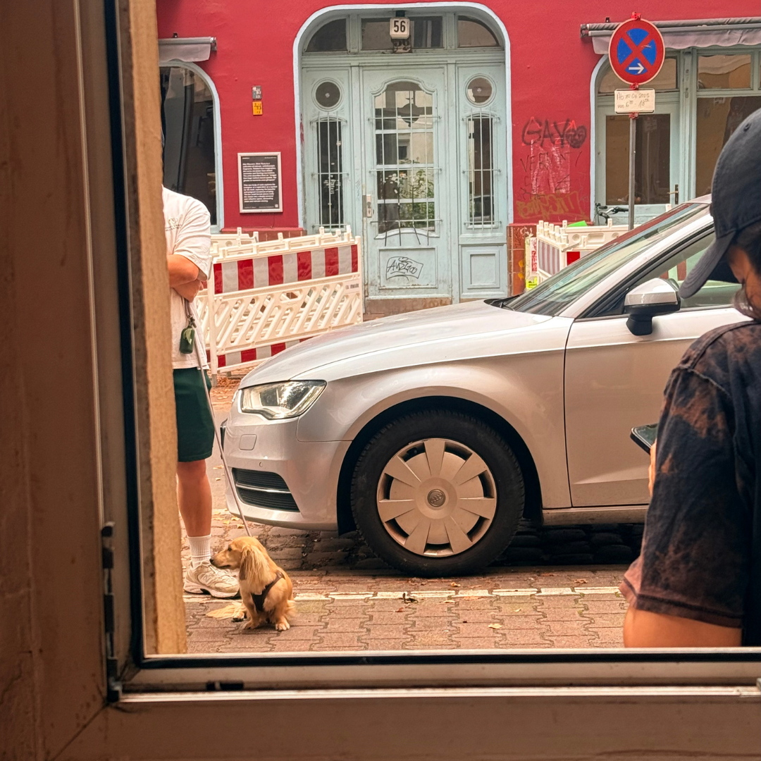 TRAVEL NOTES: Pups of Prague & Berlin 🇨🇿 🇩🇪