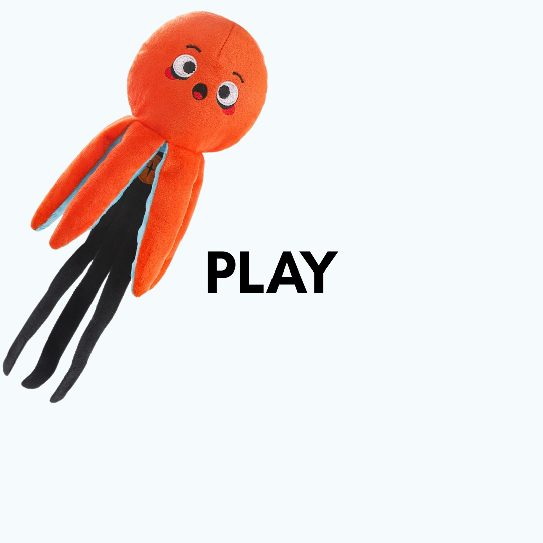 The Play Collection