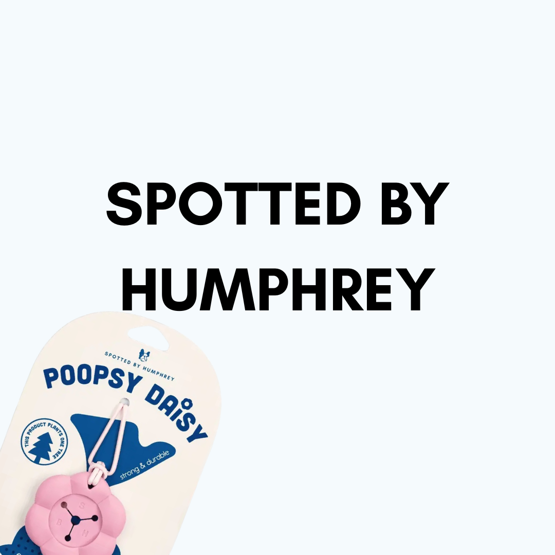 SPOTTED BY HUMPHREY