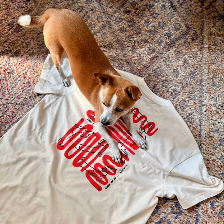 Big Stretch Unisex Boxy Tee