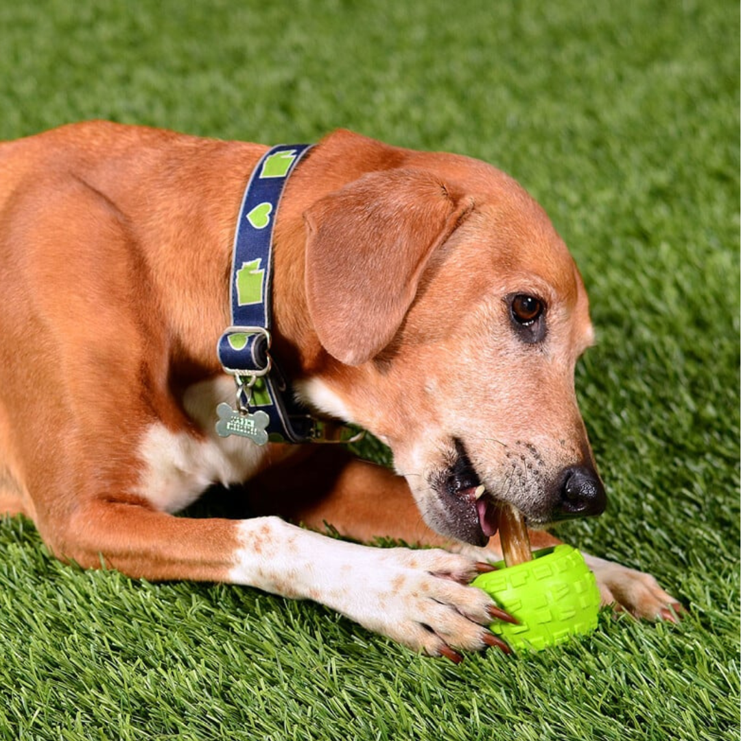 Medium High Roller Plus Dog Ball