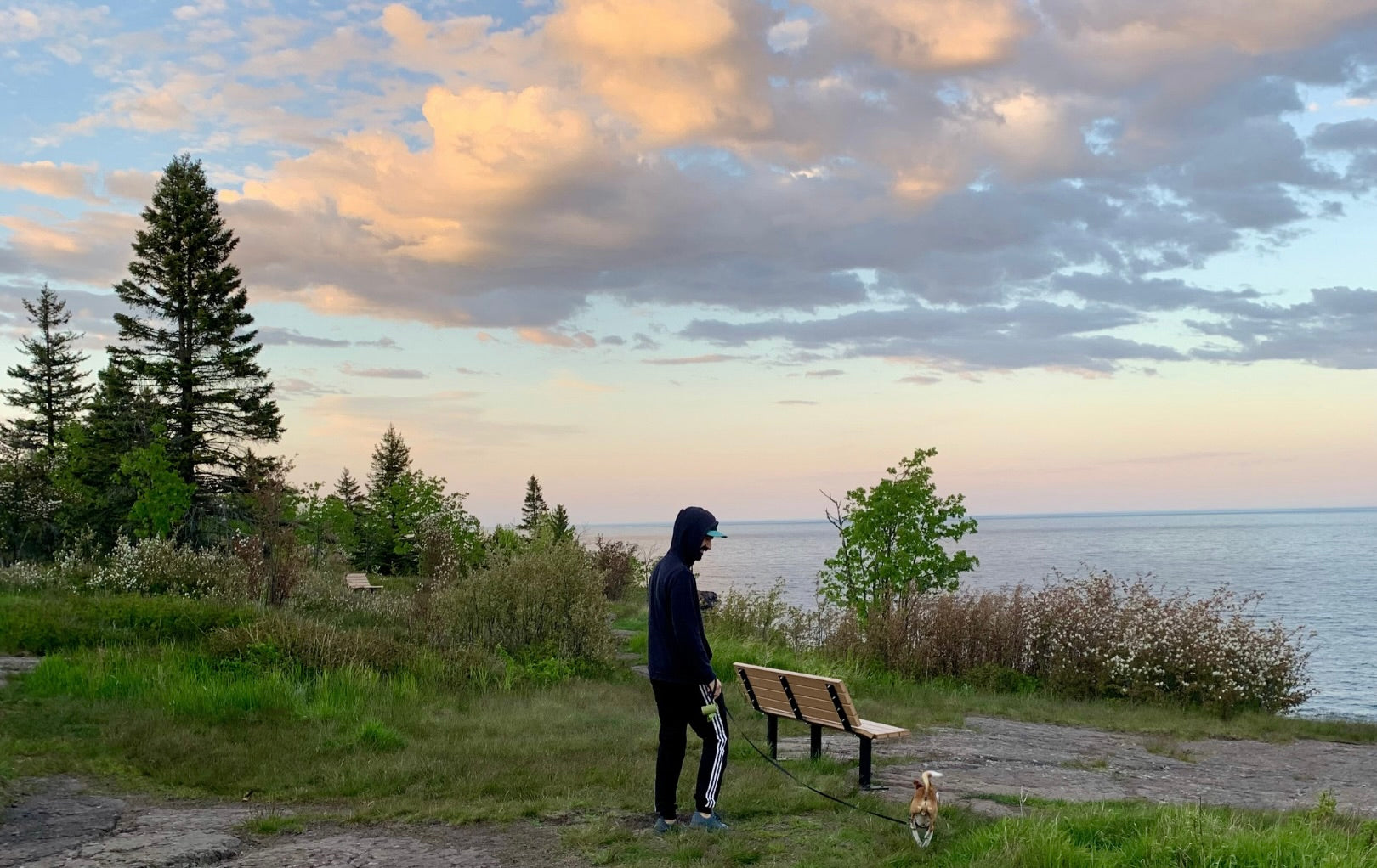 Person standing on a grassy area near a bench with a scenic view of trees and water.