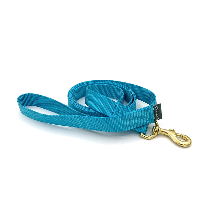 Basic Leash