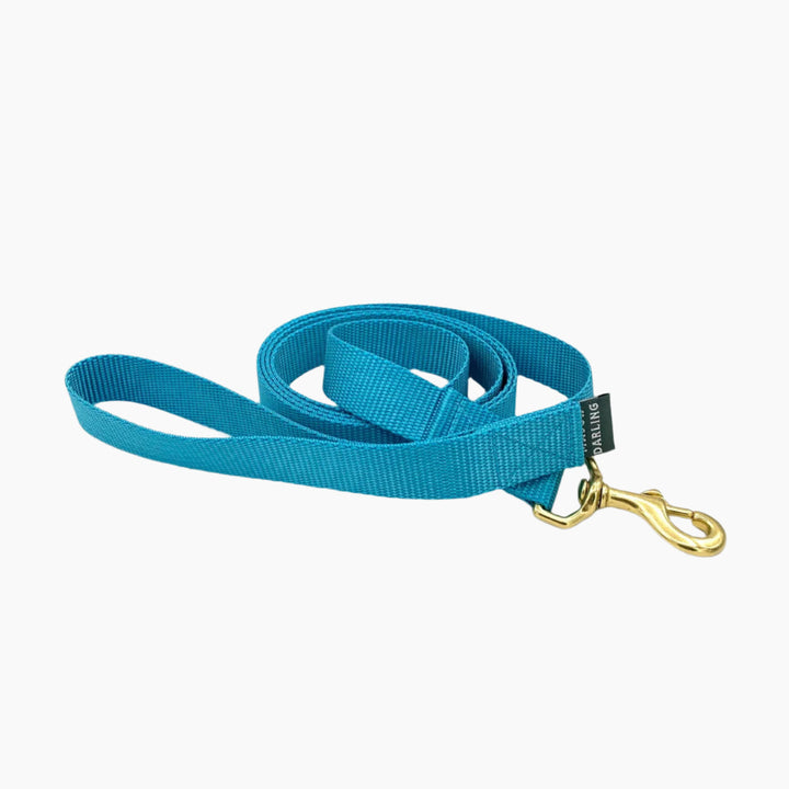 Basic Dog Leash Bluebell
