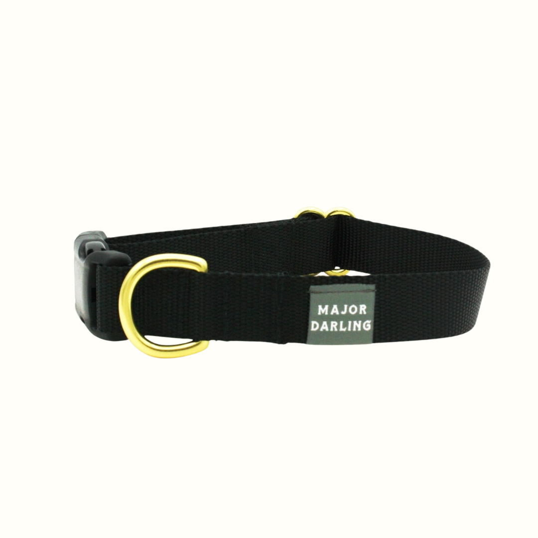 Snap Collar