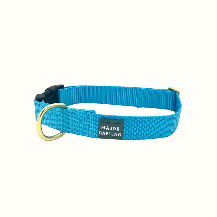 Snap Collar