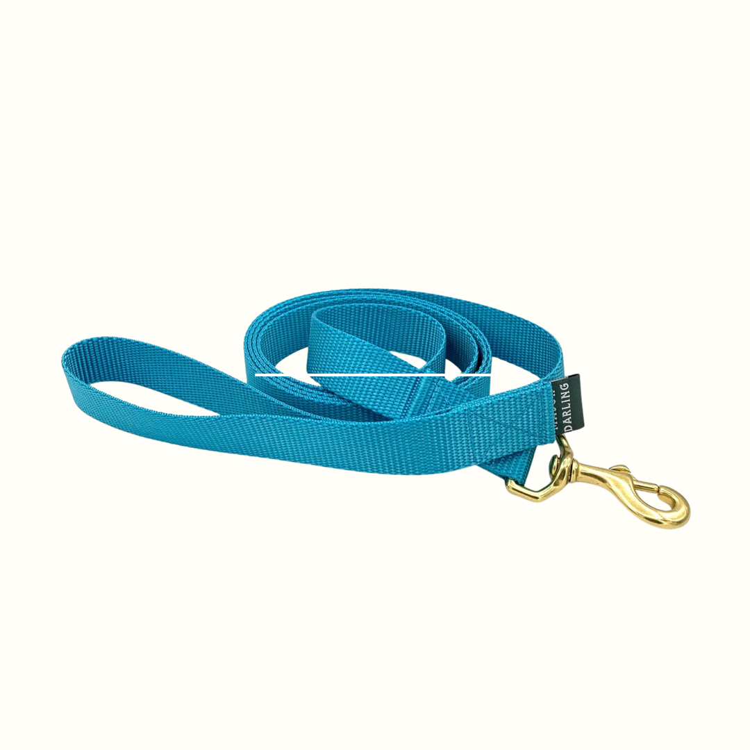 Basic Leash