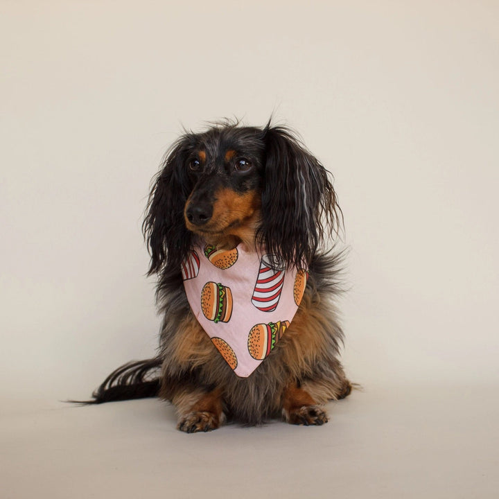 Burgers Dog Bandana