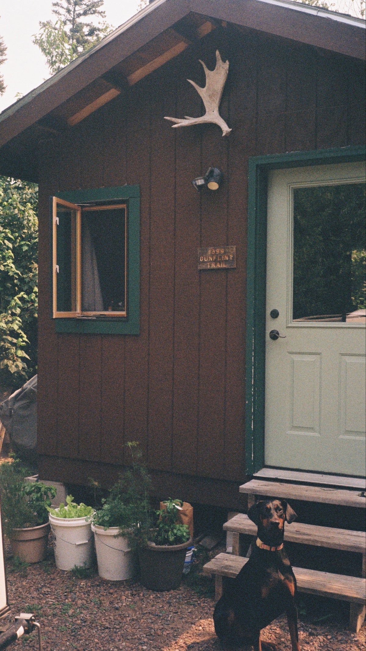 A rustic brown wooden cabin with green trim, a white door, a small window, potted plants on the ground, and a black dog sitting in the foreground. A white antler decoration hangs above the door.