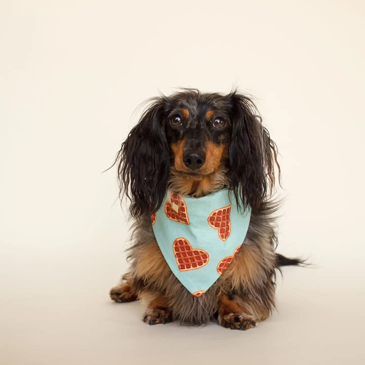 Waffles Dog Bandana | Over the Collar