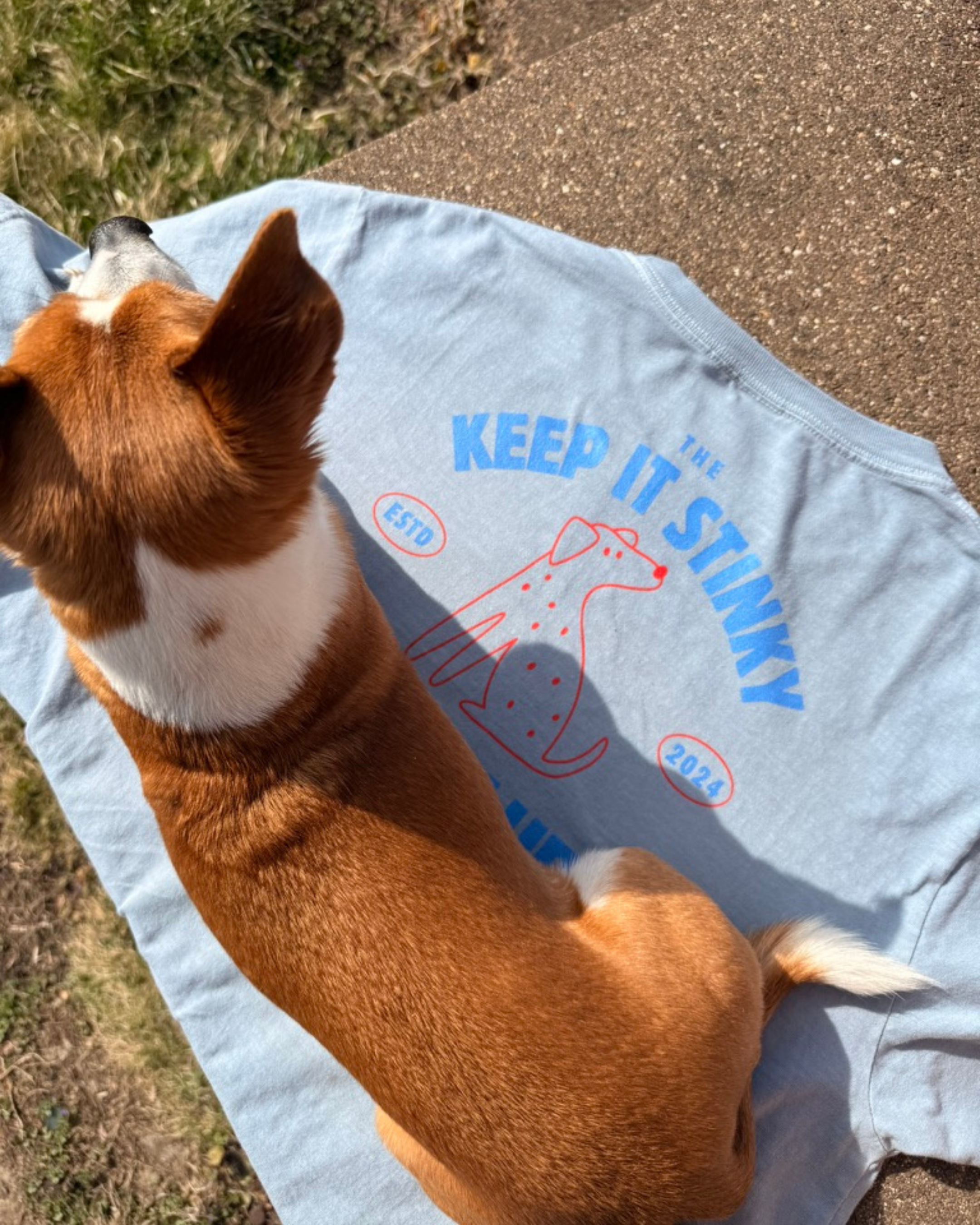 Dog sitting on a t-shirt with 'Keep It Stinky' text and graphic.
