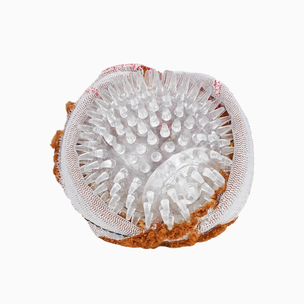 Spaghetti Meatball Dog Toy