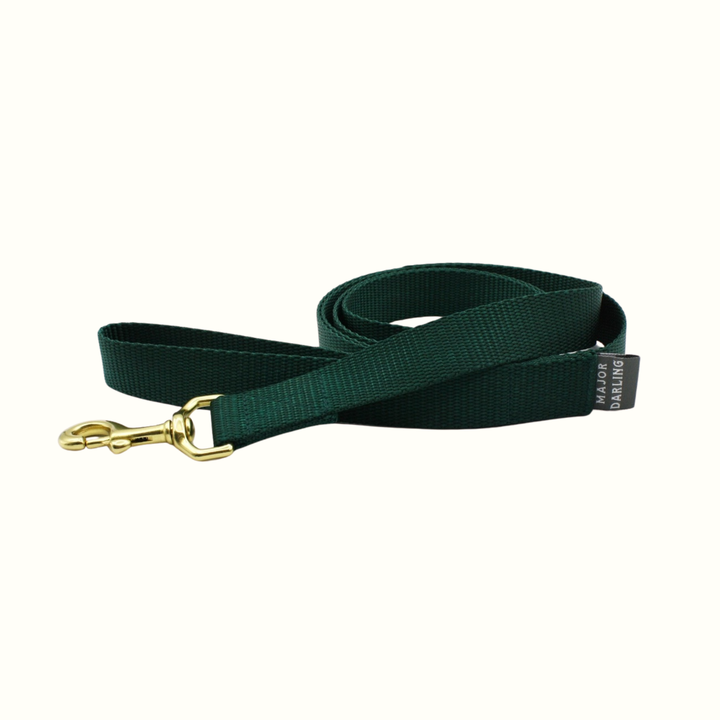 Basic Leash