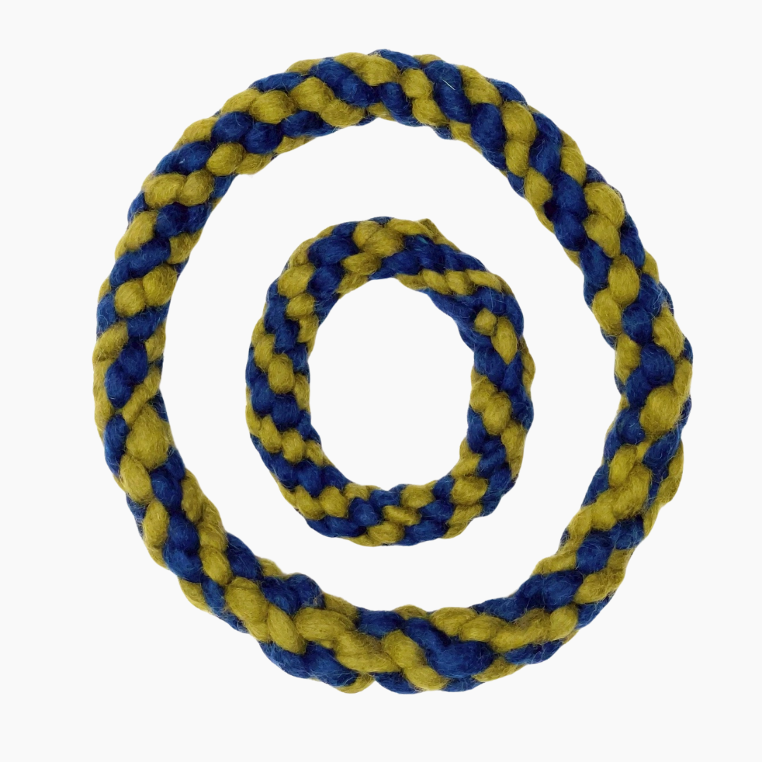 Rope Ring Dog Toy | Green Blue