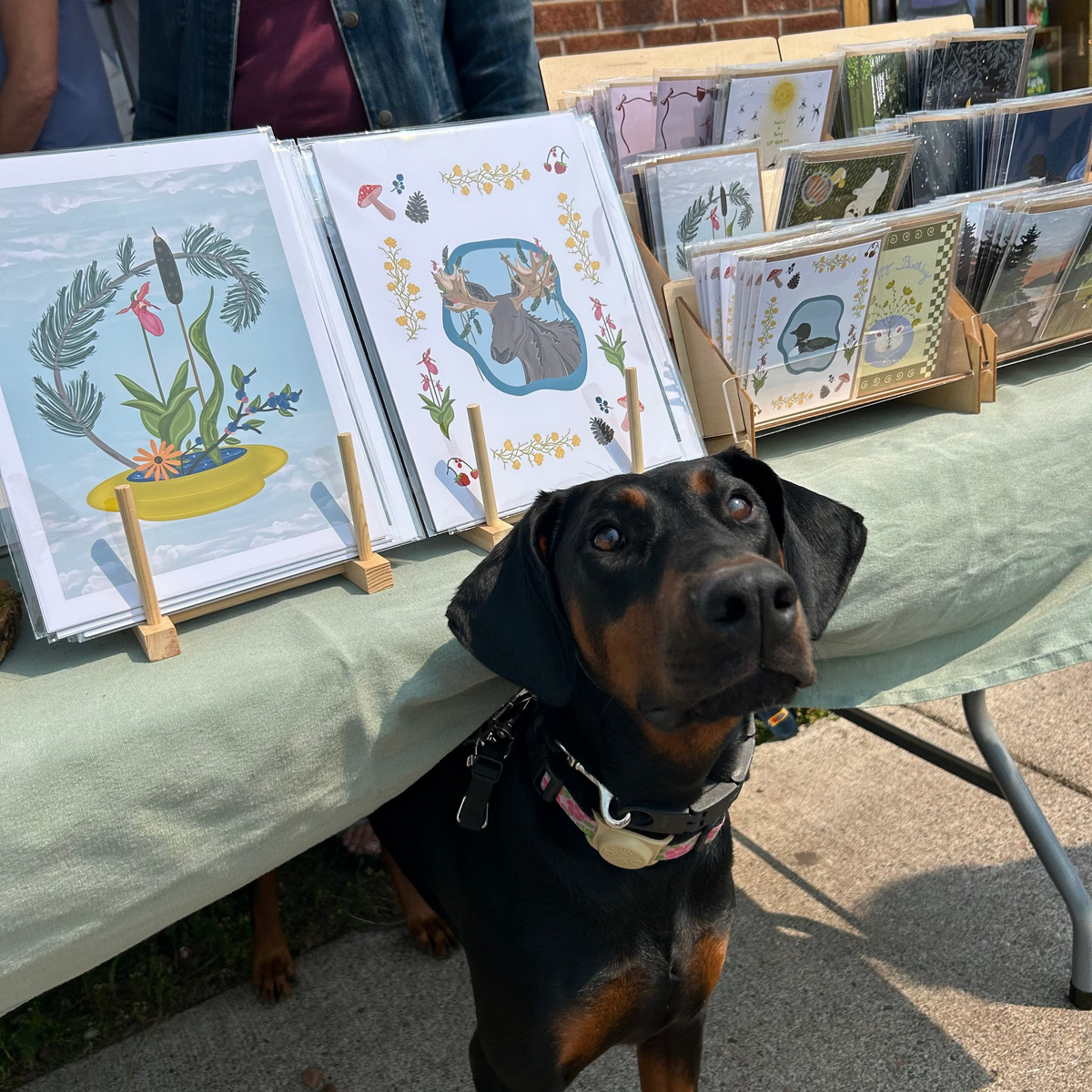 A black and tan dog stands behind a table displaying handmade greeting cards at an outdoor market. The dog is wearing a pink collar, and the table is covered with a sage green cloth and wooden display stands holding illustrated cards.