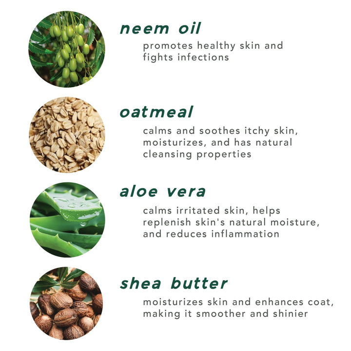 Major Darling Dog Shanpoo Sensitive Skin