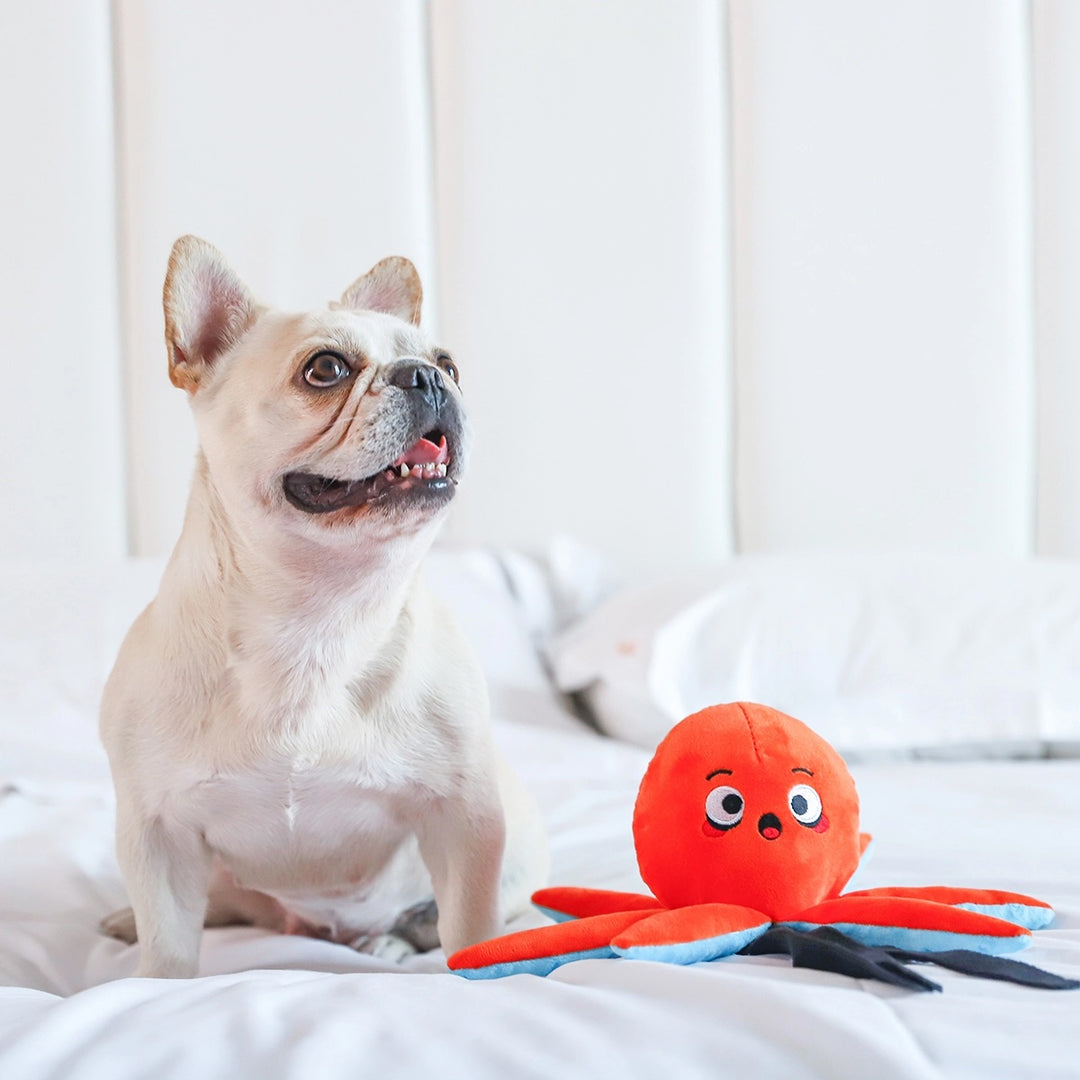 Octopus Plush Dog Toy
