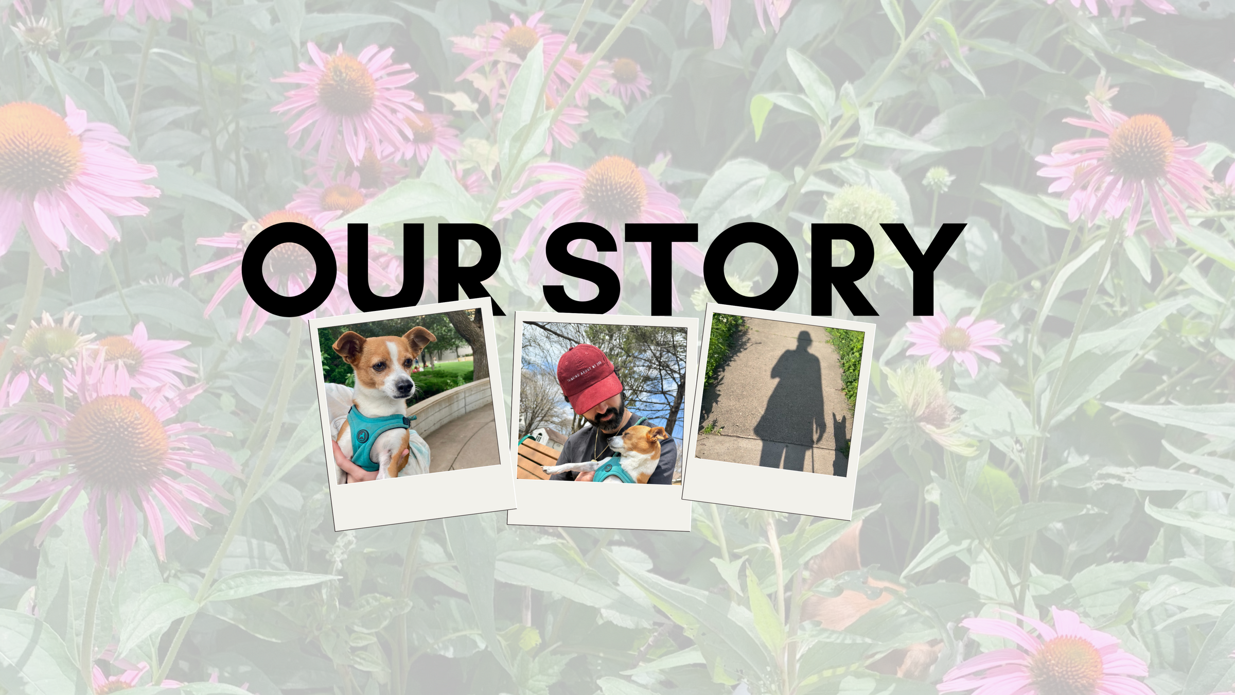 Placeholder with 'Our Story' text over photos of a dog, person, and child on a floral background.
