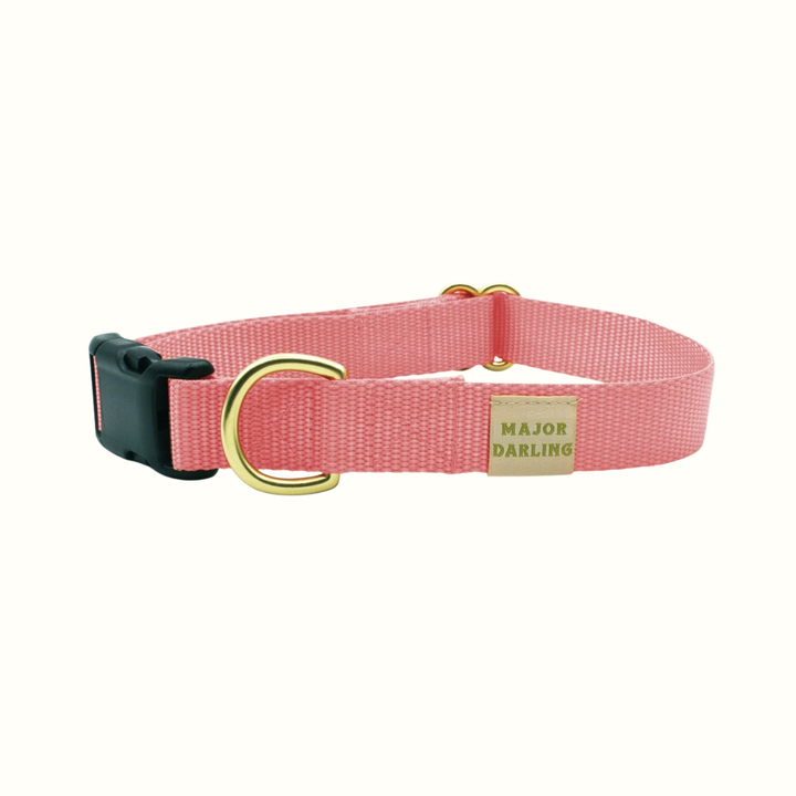 Snap Collar