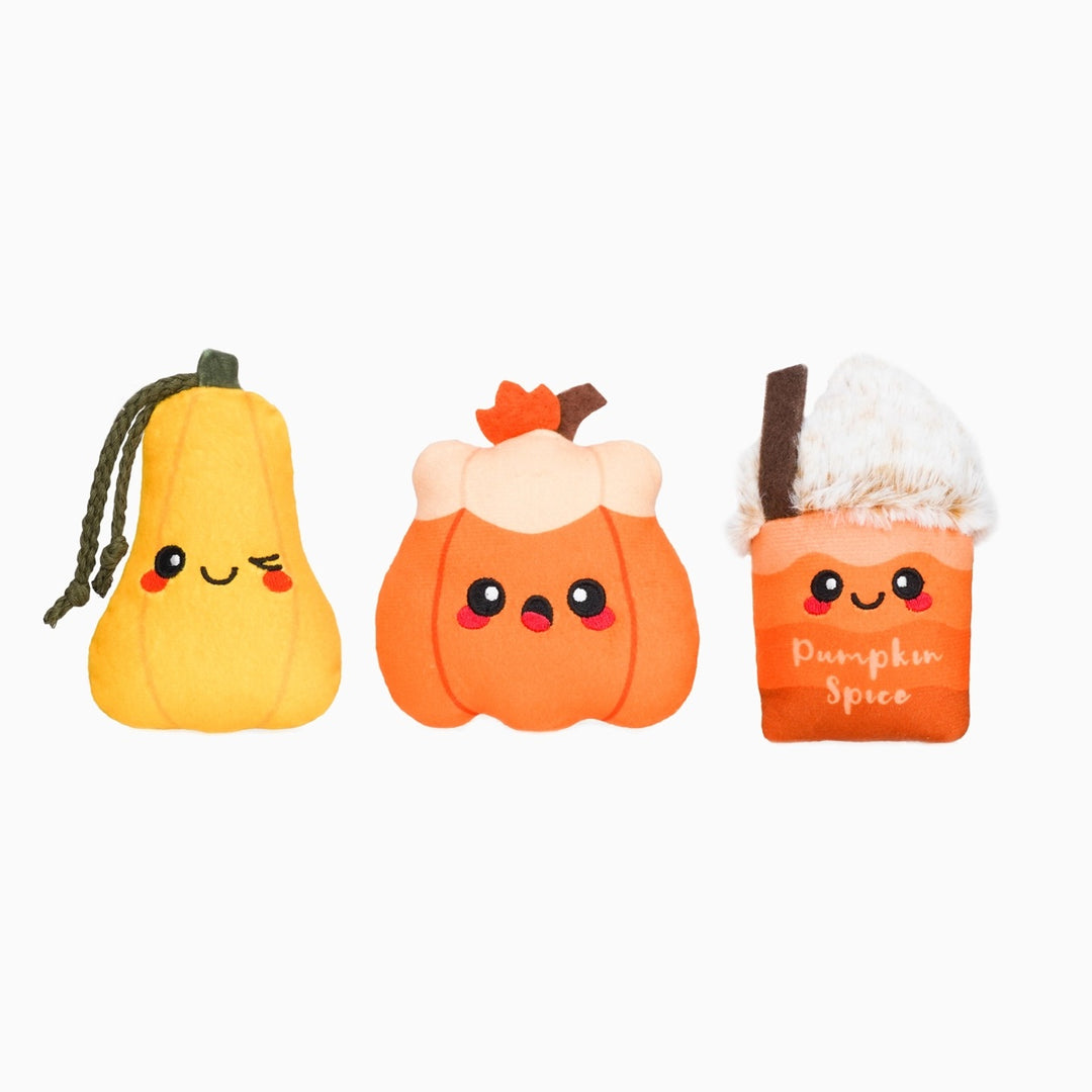 Pumpkin Play Plush Dog Toys