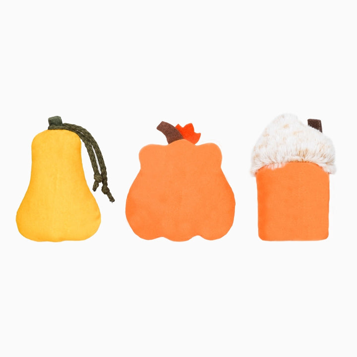 Pumpkin Play Plush Dog Toys