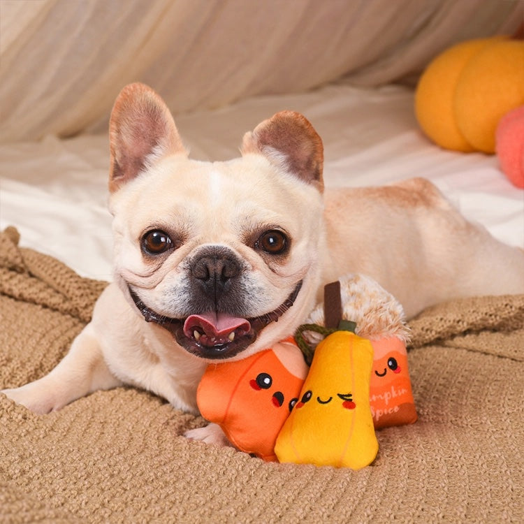 Pumpkin Play Plush Dog Toys