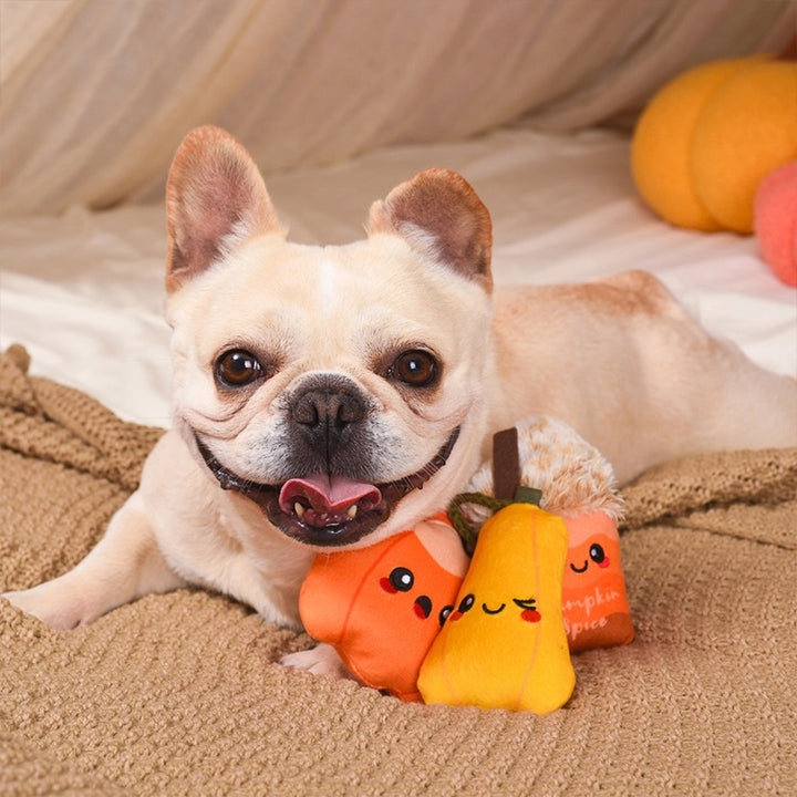 Pumpkin Play Plush Dog Toys