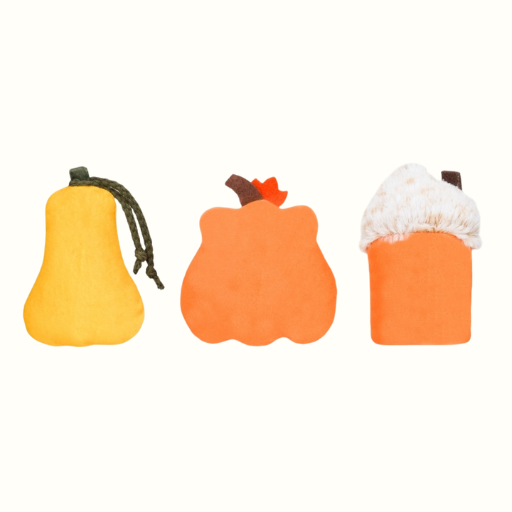 Pumpkin Play Plush Dog Toy