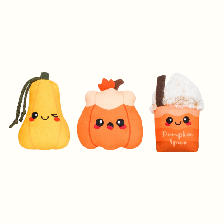 Pumpkin Play Plush Dog Toy