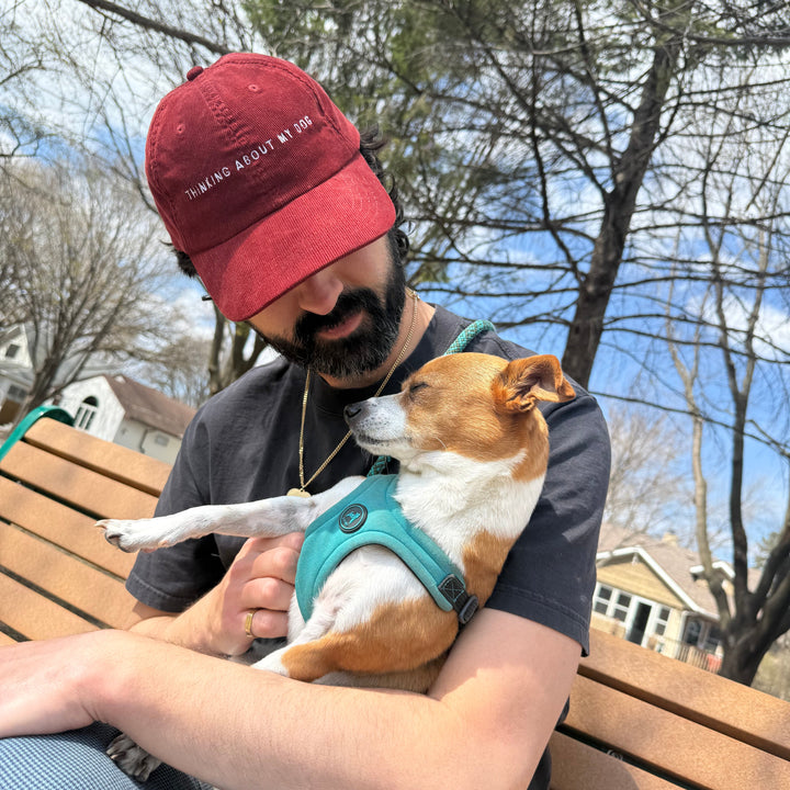 Thinking About My Dog Hat