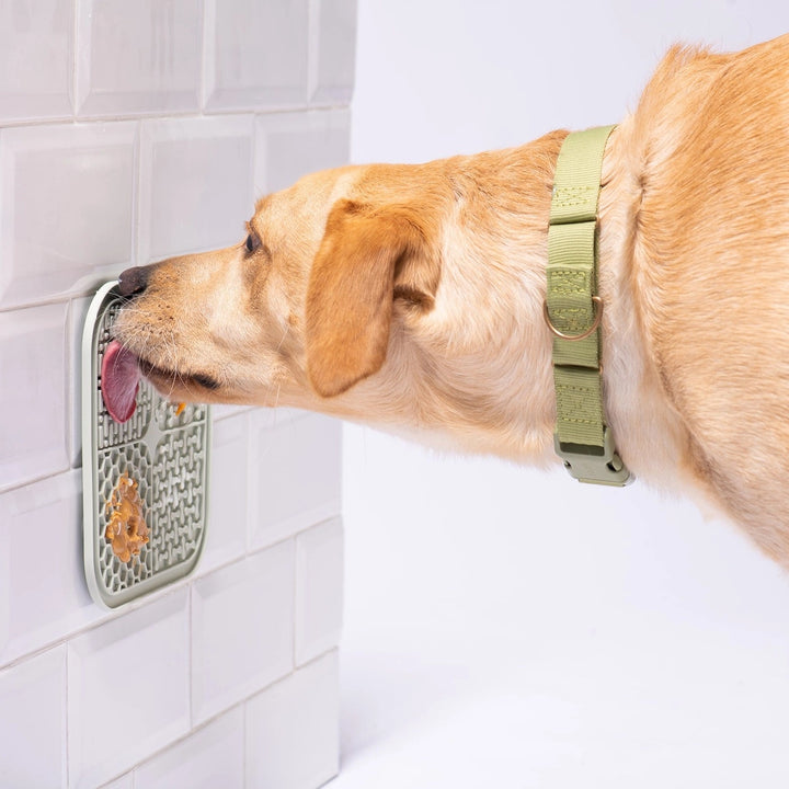 Smoosh Lick Mat