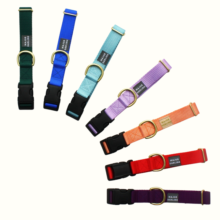 Snap Collar