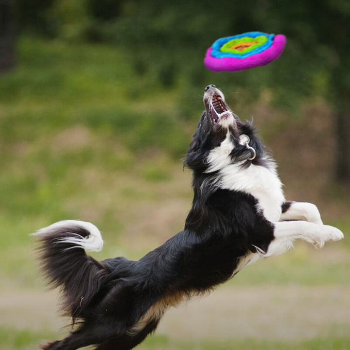 Duraplush Unstuffed Soft Flyer Dog Toy