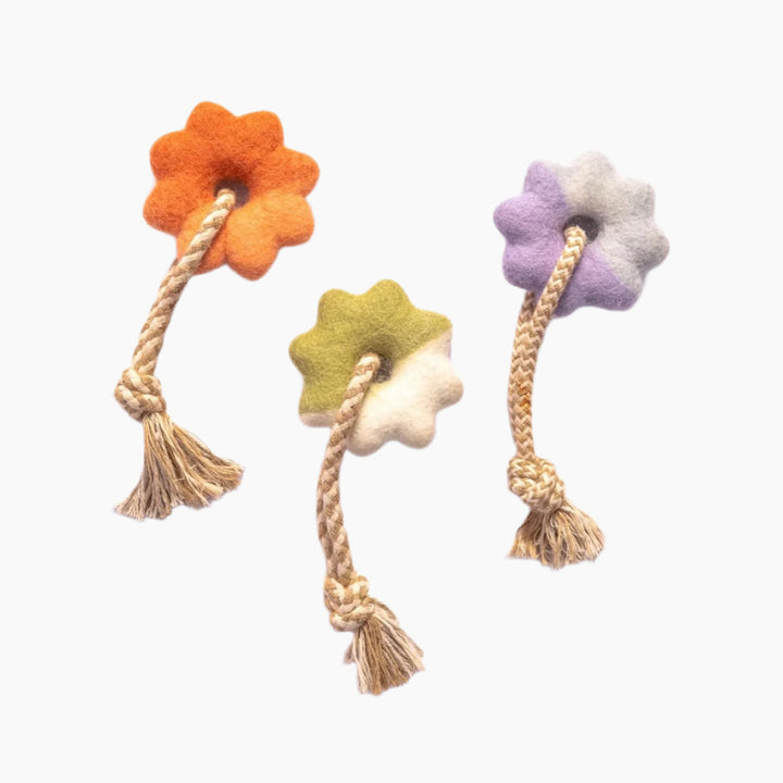 Wheely Good Time Felt Dog Toy