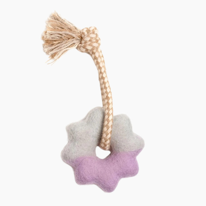 Wheely Good Time Felt Dog Toy